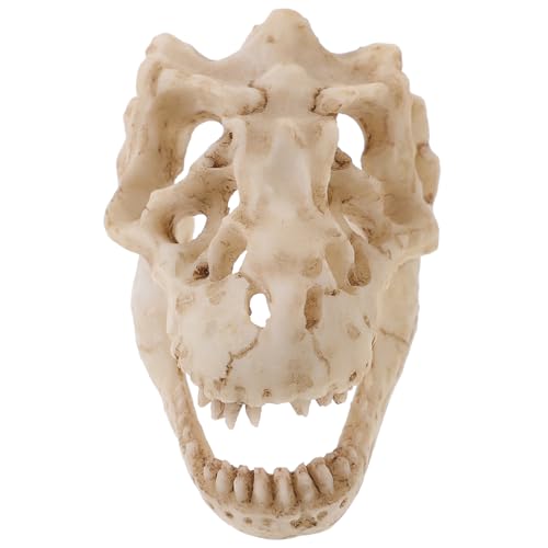 FUNOMOCYA Reptilien-dinosaurier-schädelmodell Aus Harz Dinosaurierkostüm Menschliches Skelett Dinosaurier-handwerk Miniaturen Modell Anatomie Figur Falsche Knochen Kiefer Masken Geist von FUNOMOCYA