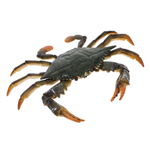 FUNOMOCYA Simulation Krabbenmodell aus Pädagogisches Lernspielzeug für Kognitiven Detailgetreues Meeresbewohner Modell Interaktives Tierfigur FUNOMOCYA Simulation Krabbenmodell aus Pädagogisches Lernspielzeug für Kognitiven Detailgetreues Meeresbewohner Modell Interaktives Tierfigur von FUNOMOCYA