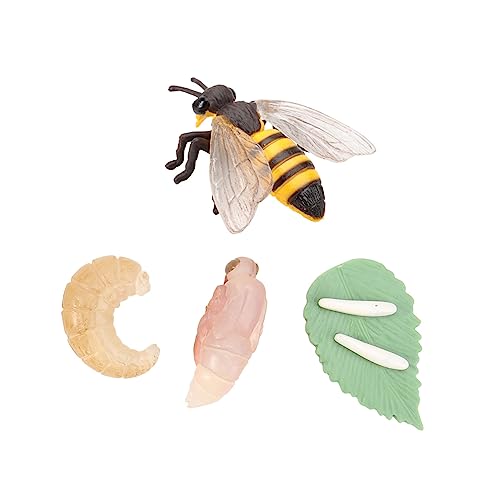 FUNOMOCYA Simulation Tierentwicklungsmodell Bienen Lebenszyklus Lernspielzeug für Pädagogisch Material Langlebig und Kreativ für Unterricht Rollenspiele Partys und Geschenke von FUNOMOCYA