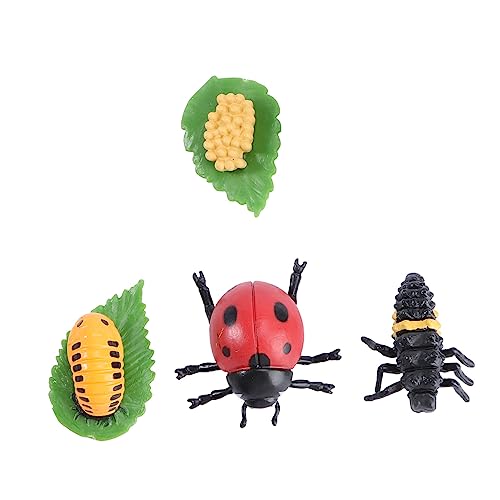 FUNOMOCYA Simulation Tierlebenszyklus Modell Marienkäfer Spinne Biene Insekten Lernspielzeug Partydekoration Naturgetreu Pädagogisch von FUNOMOCYA