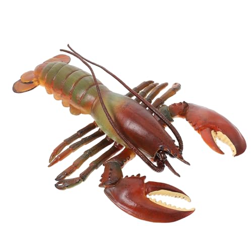 FUNOMOCYA Simuliertes Hummermodell aus Robustem Material Detailgetreues Meeresbewohner Pädagogisch Dekorativ für Zuhause Büro und Schule FUNOMOCYA Simuliertes Hummermodell aus Robustem Material Detailgetreues Meeresbewohner Pädagogisch Dekorativ für Zuhause Büro und Schule von FUNOMOCYA