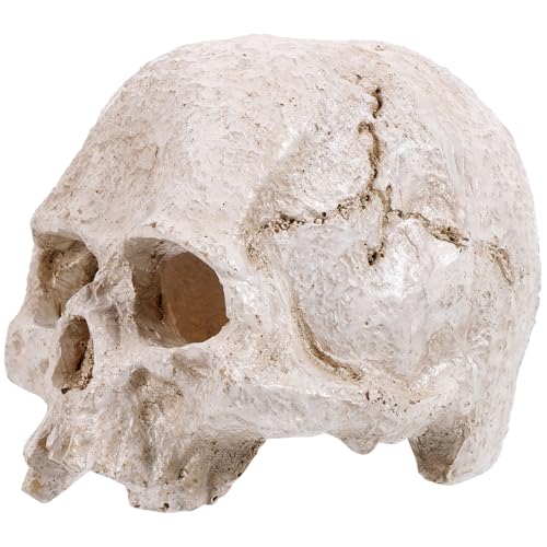 FUNOMOCYA Simuliertes Menschliches Schädelmodell Mini-schädelfiguren Skelette Mini Menschlicher Schädel Gefälscht Mini-schädelköpfe Halloween-modell Eines Menschlichen Schädels Gesicht Harz von FUNOMOCYA
