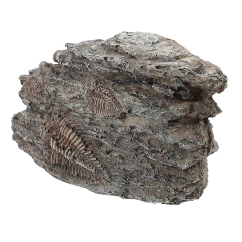 FUNOMOCYA Trilobiten Dekoration Resin Trilobite Sammlerstück für Vielseitig Einsetzbar Handwerklich Gefertigt Langlebig Sicher von FUNOMOCYA