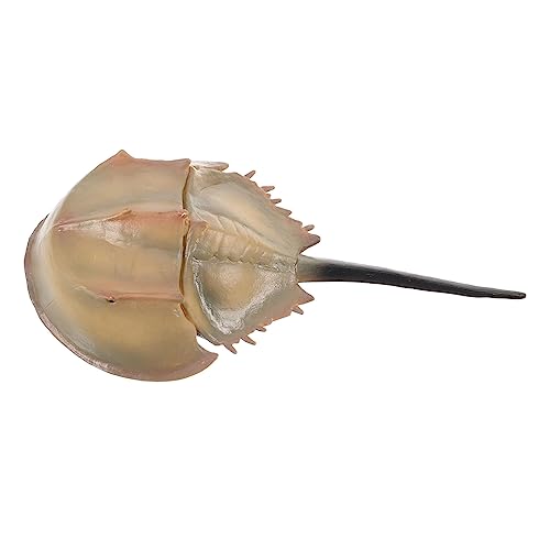 FUTUREORYY Künstliche Hufeisenspinne Dekoration Lebensechtes Modell für Aquarien und Innendekoration Hochwertige Simulation für Festlichkeiten und Geschäfte FUTUREORYY Künstliche Hufeisenspinne Dekoration Lebensechtes Modell für Aquarien und Innendekoration Hochwertige Simulation für Festlichkeiten und Geschäfte von FUTUREORYY