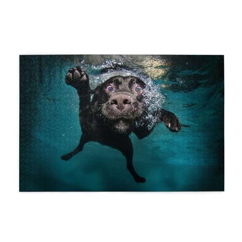 Puzzles, Puzzles für Erwachsene, herausforderndes Puzzle 1000 Teile, Bilderpuzzle aus Holz, Schwarzer Labrador-Retriever-Hund schwimmend Puzzles, Puzzles für Erwachsene, herausforderndes Puzzle 1000 Teile, Bilderpuzzle aus Holz, Schwarzer Labrador-Retriever-Hund schwimmend von FUkker