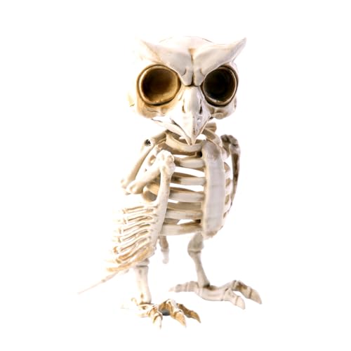 FYASA - Skelett Eule für Halloween FYASA - Skelett Eule für Halloween von FYASA