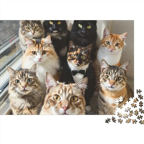 Cat Holz Puzzle 1000 Teile Für Erwachsene - Unmögliches Legespiel, Stressabbau Spielzeug,Cute Premium Home Dekoration, 1000pcs (75x50cm) von FYQTCIAN