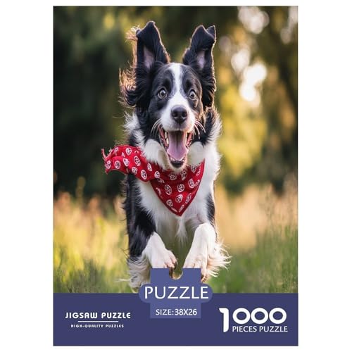 Der Border Collie Puzzles 1000 Teile Schwer Puzzle Spielzeug Lernspiel Impossible Herausforderung Spielzeug Für Erwachsene Und Kinder Ab 14 Jahren 38x26cm/1000pcs von FYQTCIAN