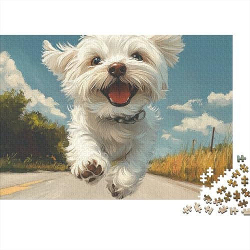 Maltesisch Hund Puzzle 1000-teilige Schwer Puzzle Spielzeug Lernspiel Impossible Herausforderung Spielzeug Für Erwachsene Und Kinder Ab 12 Jahren 1000pcs (75x50cm) von FYQTCIAN