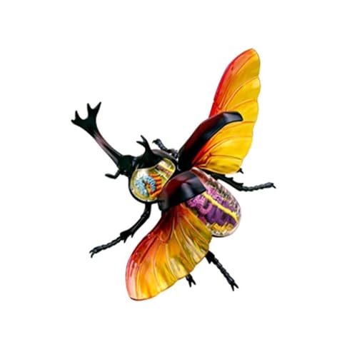 Lehrmodell, Hirschkäfer-Organanatomiemodell, 4D-Anatomiemodelle Des Herkuleskäfers, Modell Zur Montage Der Inneren Organskelettgruppe, Abnehmbares Simulationsmodell Der Tieranatomie von FYYYSLKX