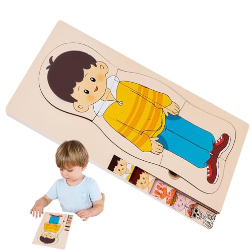 Fabixoin Anatomie für Kinder,Menschliche Anatomie für Kinder | Mehrschichtiges kognitives Puzzlespielzeug mit Anatomiestruktur aus Holz - Spielzeug für die frühe Entwicklung, interaktives von Fabixoin