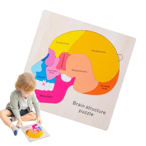 Fabixoin Menschliche Anatomie für Kinder, Puzzle zum menschlichen Körper | Mehrschichtiges kognitives Puzzlespielzeug für den menschlichen Körper aus Holz,Interaktives pädagogisches von Fabixoin