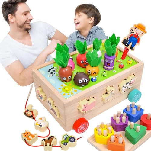 Formpassendes Spielzeug, Farbsortierset - Montessori Karottenernte Kinderspielzeug | Entwicklungsorientiertes Holzspielzeug für Vorschulkinder für Interaktion, Geburtstagsgeschenk, Belohnungen im Klas von Fabixoin