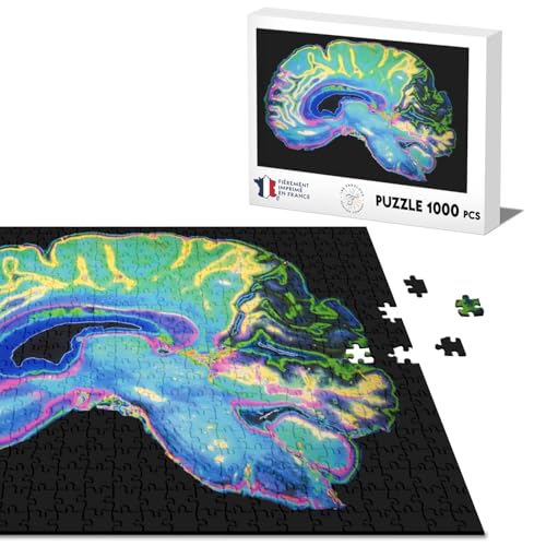 Klassische Puzzle 1000 Teile Gehirnscanner Medizinisches Röntgenbild von Fabulous