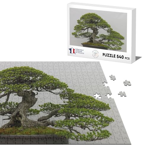 Klassische Puzzle 540 Teile Bonsai Japan Baum Dekoration Minimalismus Kunst von Fabulous