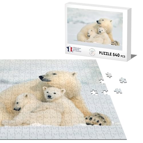 Klassisches Puzzle, 540 Teile, Motiv: Mutter Eisbär und Bären, niedliche Wildtiere Klassisches Puzzle, 540 Teile, Motiv: Mutter Eisbär und Bären, niedliche Wildtiere von Fabulous