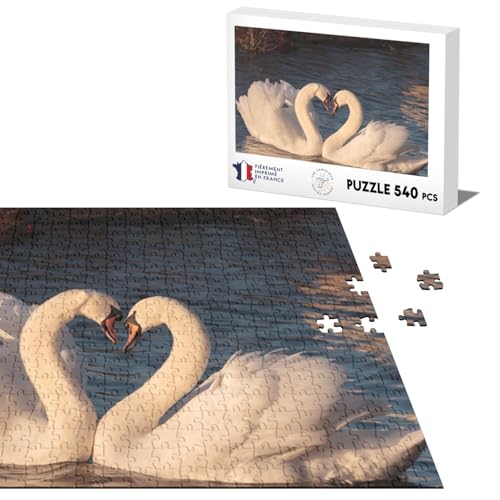 Klassisches Puzzle, 540 Teile, Schwäne für Verliebte, Herzen, Brautpaar, Liebe von Fabulous