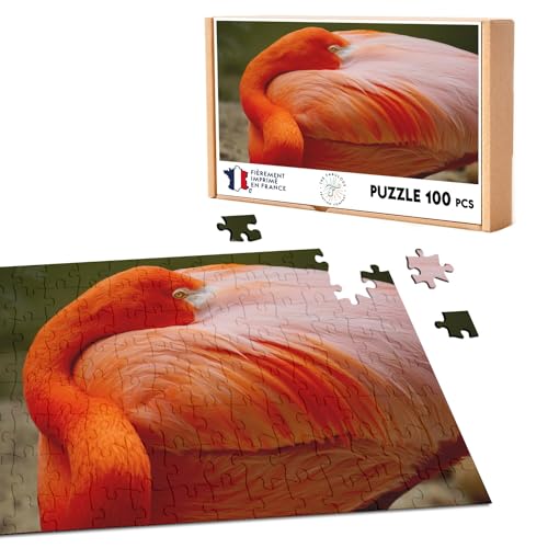 Klassisches Puzzle 100 Teile Nahaufnahme eines Flamingos / Wild Beauty / Vogel von Fabulous