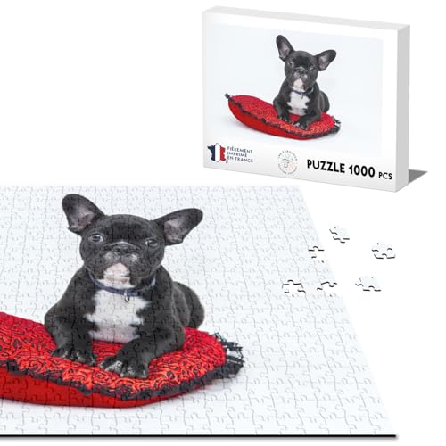 Klassisches Puzzle 1000 Teile Französisch Bulldogge schwarz und weiß kleiner Hund auf Kissen rot und schwarz süße Tiere von Fabulous