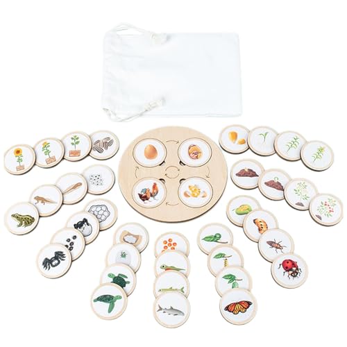 Holzspielzeug Lebenszyklus Brett, Pädagogisches Life Cycle Tablett Spielzeug Sensorik Tablett Fauna Spiel Routine Karten Kinder Lernen Von Lerntieren Für Kinder Im Vorschulalter Holzspielzeug Lebenszyklus Brett, Pädagogisches Life Cycle Tablett Spielzeug Sensorik Tablett Fauna Spiel Routine Karten Kinder Lernen Von Lerntieren Für Kinder Im Vorschulalter von Facynde
