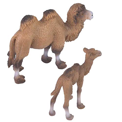 Fafeicy 2pcs Figur Toys, Miniaturtiermodell Kunststofftier Figuren mit Handgemalten Details für Pädagogische Spielzimmerdekoration von Fafeicy