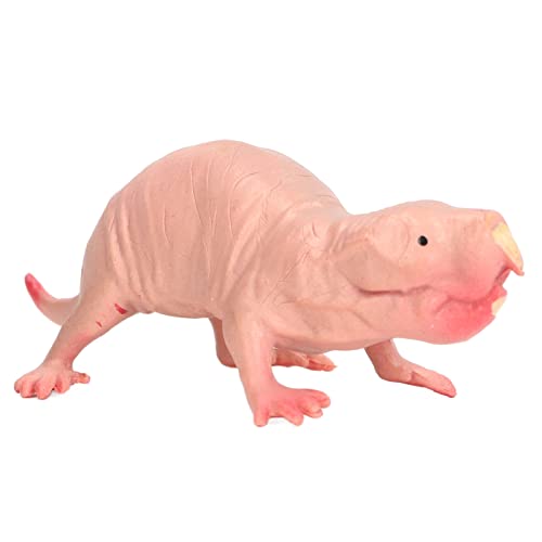 Fafeicy Kunststoffmol -Figur -Simulation Statischer Kern Nackte Molmodell Sandtisch Ornamente von Fafeicy