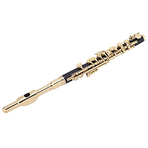 Fafeicy Piccolo Instrument -Kit, 2 C Piccolo, Flautin Farben Halbgröße Flöte C -Schlüsselton mit Gepolsterten Box für Anfängerschüler (Gold) von Fafeicy
