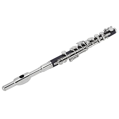 Fafeicy Piccolo Instrument -Kit, 2 C Piccolo, Flautin Farben Halbgröße Flöte C -Schlüsselton mit Gepolsterten Box für Anfängerschüler (Silver) von Fafeicy