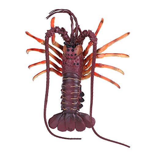 Fafeicy Plastik Hummerdekor, Weiche Plastik Hummermodell Realistisches Lebensechtes Spielzeug für mit Reibungslosen Sicheren Material (29cm) von Fafeicy
