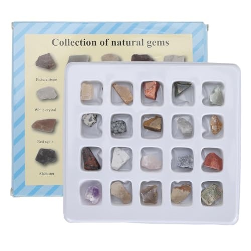 Fafeicy Rock and Mineral Collection Kit Professionelles Mineral Rock Science Educational Kit für Sammlerlehrer (Original Rock Set 2) von Fafeicy