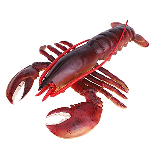 Fafeicy Simulation Hummerspielzeug, Lebensechte Weiche Plastik -Hummermodell für, die AIDS -Fischrestaurant -Stufe mit Glatten Oberfläche Unterrichten (23cm) von Fafeicy