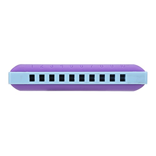 Fafeims Mundharmonica Purple Safe Resin Build mit Klaren Tönen für Kinder, Anfänger, Digitale Anmerkungen, Ideales Kindermusikinstrument, Langlebiges Kompaktes Design (Zwei -Farben - lila) von Fafeims
