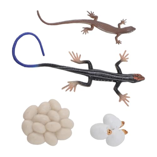 Fafeims Skink Life Cycle Toy Figuren Sandboxzubehör mit Bildung und Unterhaltung Zum Lernen von Skink Arten Lebenszyklen von Fafeims