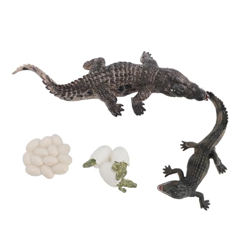 Fafeims Tiere Wachstumszyklus Modell Set Early Education PVC Reptilien Tierfiguren für für Kindergartenausbildung von Fafeims