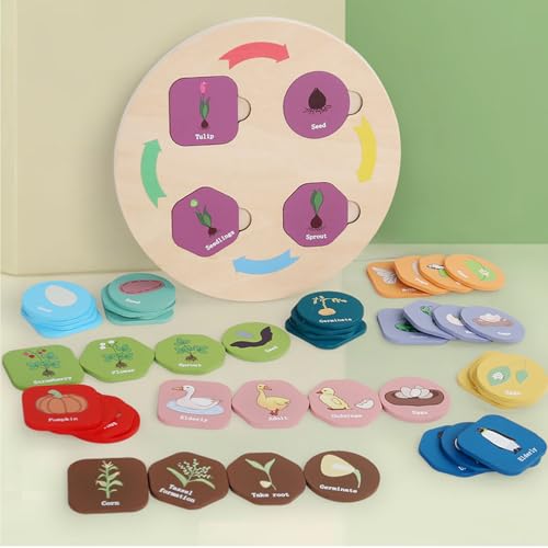 Hölzerne Lebenszyklusspielzeug Pädagogische Wissenschaftslernaktivitäten, das das Passende Tierspiel Sortiert mit Zahlen für Kleinkinder von Fafeims