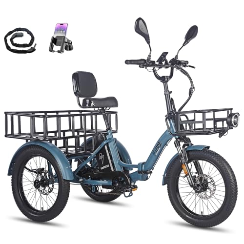 Fafrees F20 Mate Elektro Dreirad, Upgrade 2025 E-Bike 3 Rad 48V 23.45Ah Akku, E Bike Dreirad Klapprad 20 * 3.0 Zoll, Hydraulischer Bremsstarter (Vorderkorb + Kleiner Korb, Blau) von Fafrees