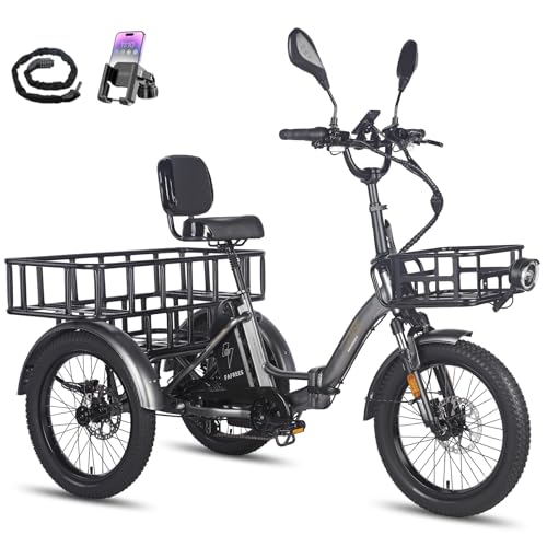 Fafrees F20 Mate Elektro Dreirad, Upgrade 2025 E-Bike 3 Rad 48V 23.45Ah Akku, E Bike Dreirad Klapprad 20 * 3.0 Zoll, Hydraulischer Bremsstarter (Vorderkorb + Kleiner Korb, Grau) von Fafrees