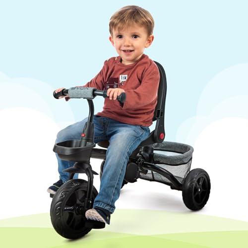 6-in-1 Dreirad für Kinder, Grau, Fahrräder und Fahrzeuge für Kinder für 10 Monate bis 5 Jahre, Fahrrad Kinderwagen für Kinder, mit umkehrbarem Sitz, Sonnenblende und Pedal 6-in-1 Dreirad für Kinder, Grau, Fahrräder und Fahrzeuge für Kinder für 10 Monate bis 5 Jahre, Fahrrad Kinderwagen für Kinder, mit umkehrbarem Sitz, Sonnenblende und Pedal von FairyLee