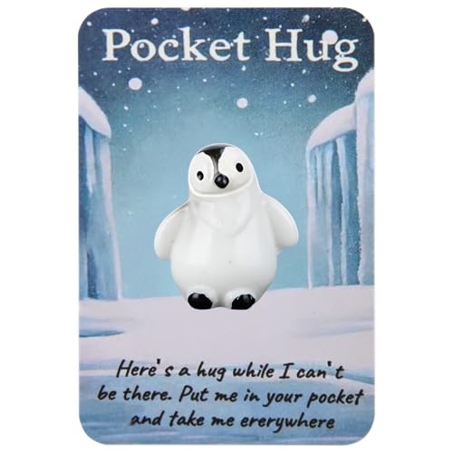 Pocket Hug Pinguin, niedlicher Taschenumarmungen Pinguin mit Taschen-Umarmungskarten, positive Ermutigung, Taschenumarmungen für Freunde, Frauen, Liebhaber, Geburtstag, Valentinstag, Geschenke von Fakcrkun