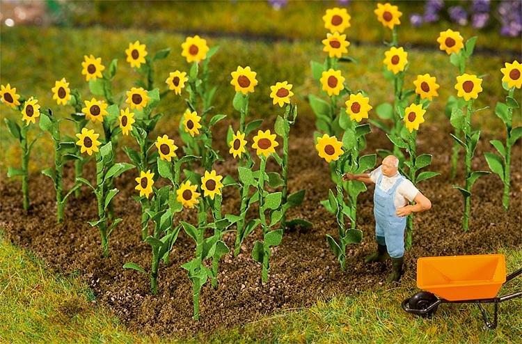 16 Sonnenblumen 16 Sonnenblumen von Faller