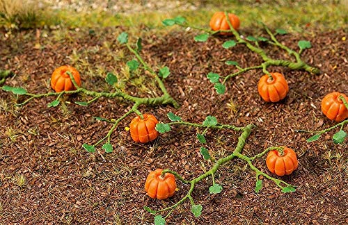 Faller 181258 Squash 6/ Scenery and Accessories Bauset von FALLER