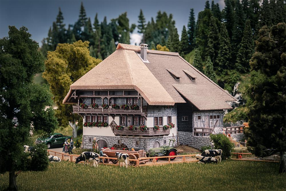 Jubiläumsmodell - Schwarzwaldhof mit 2 Figuren Jubiläumsmodell - Schwarzwaldhof mit 2 Figuren von Faller