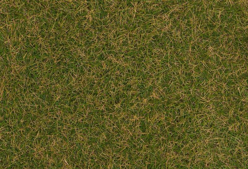 Streufasern Wildgras, braungrün, 4 mm (1000 g) von Faller