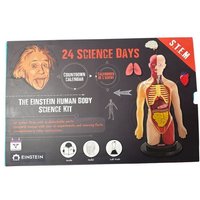 Einstein Wissenschaftsset - Der menschliche Körper von Fantasie4Kids oHG