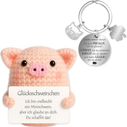 Farbeele Glücksschweinchen und Glücksbringer-Schlüsselanhänger, Pocket Hug Positive Puppe, MutmacherGeschenk, Gute Besserung Geschenk, Glücksbringer Prüfung Geschenk, EinschulungGeschenk von Farbeele