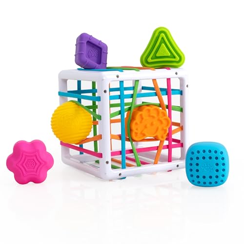 Fat Brain Toys F251 Fat Brain InnyBin, Kids Preschool, Shape Sorter, Sorting Building Sets, Early Development Toy for Babies Aged 18 Months and Older, Multicoloured von Fat Brain Toys