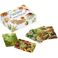 Das Ernst-Haeckel-Memo-Spiel Das Ernst-Haeckel-Memo-Spiel von Favoritenpresse
