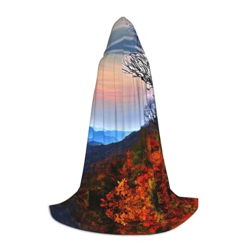 Fbghhty Blue Ridge Mountains Aufdruck, Unisex, Kapuzenumhang, Halloween, Cosplay, Karneval, bequemer Umhang für Teenager-Partys Fbghhty Blue Ridge Mountains Aufdruck, Unisex, Kapuzenumhang, Halloween, Cosplay, Karneval, bequemer Umhang für Teenager-Partys von Fbghhty