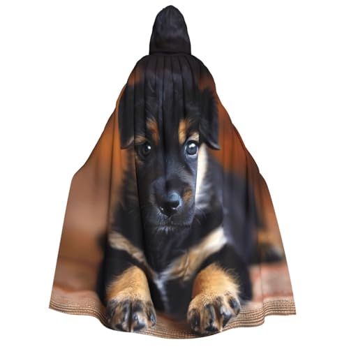 Fbghhty Kapuzenumhang mit Welpen-Motiv, mittelalterliches Halloween-Kostüm, Erwachsene, Herren, Damen, Karneval, Partys, Cosplay Fbghhty Kapuzenumhang mit Welpen-Motiv, mittelalterliches Halloween-Kostüm, Erwachsene, Herren, Damen, Karneval, Partys, Cosplay von Fbghhty