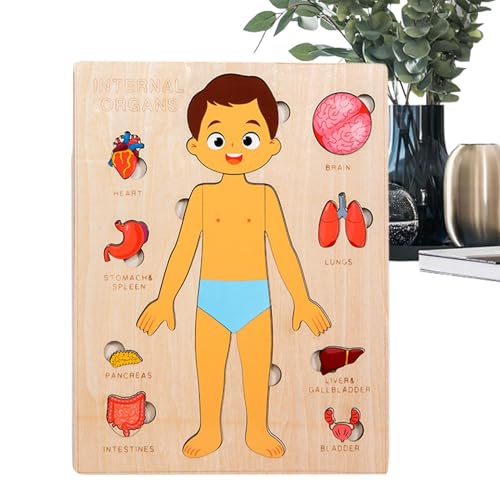 Kids Human Anatomy, Educational Wooden Body Puzzle Toy, Scientific Inspired Learning Game, Ideal for Toddler, Travel, School, Student Teaching, Stem Playtime, 8.98x7.09x0.39 Inches von Fbinys